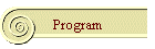 Program