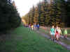 5.jpg (85453 byte)