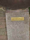 solen2.JPG (95482 byte)