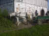 RIM00050.JPG (319488 byte)